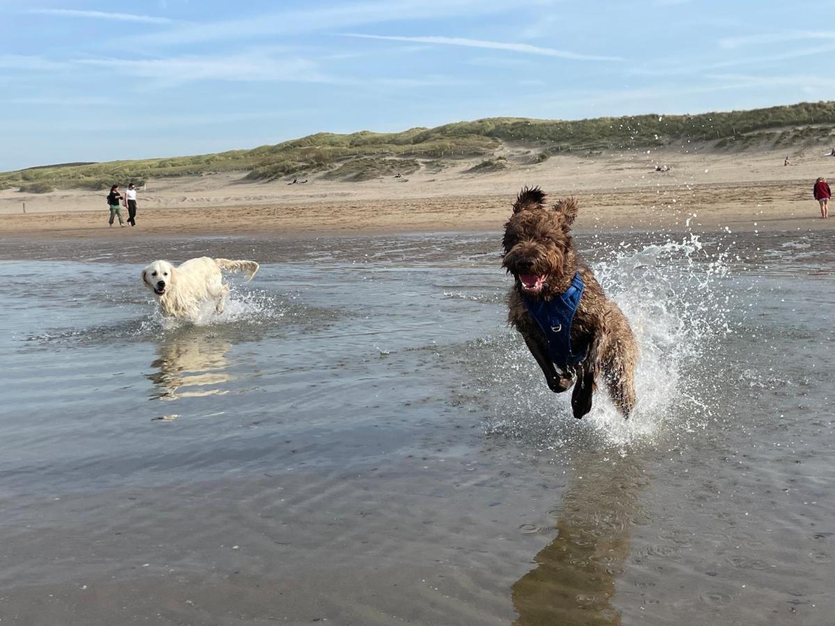 Zeebedstay Noordwijk Zewnętrze zdjęcie