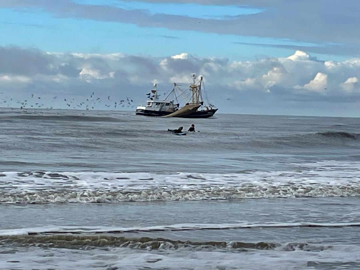 Zeebedstay Noordwijk Zewnętrze zdjęcie