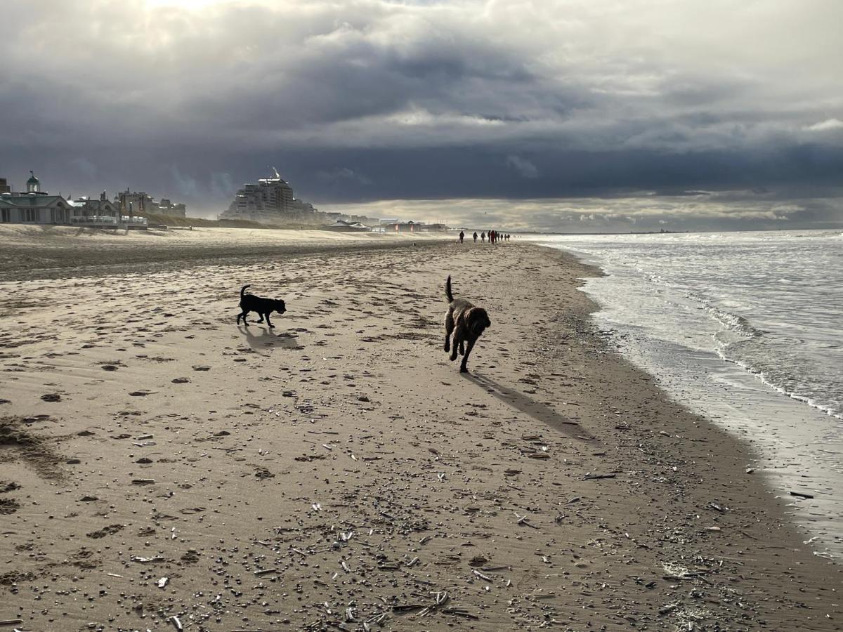 Zeebedstay Noordwijk Zewnętrze zdjęcie
