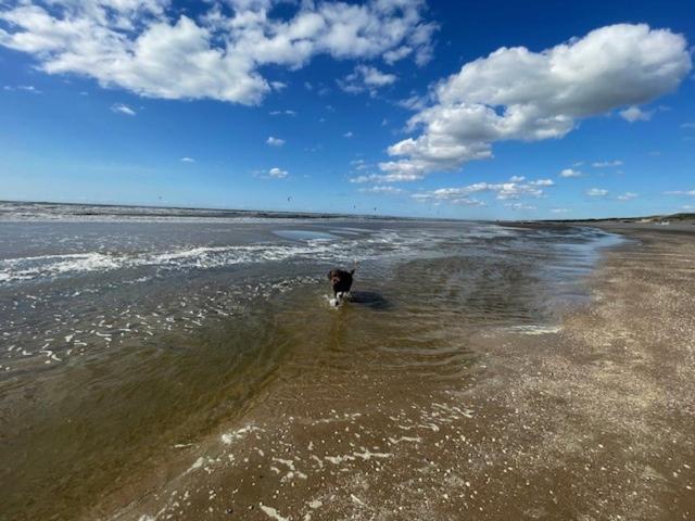 Zeebedstay Noordwijk Zewnętrze zdjęcie