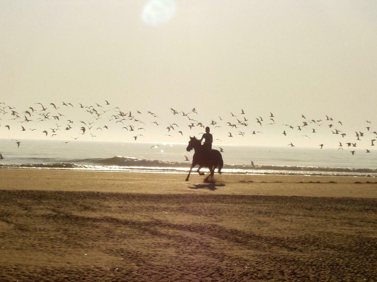 Zeebedstay Noordwijk Zewnętrze zdjęcie